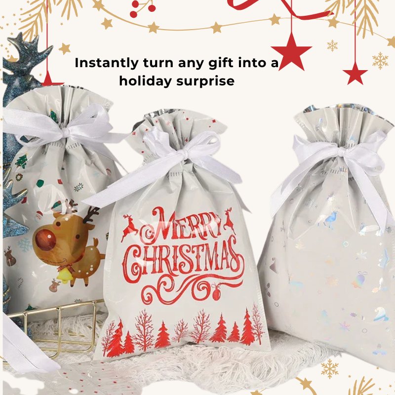 NoWrap Festive Gift Bags