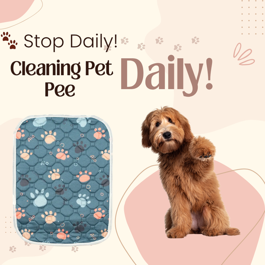 PurePaw™ Absorb Mat