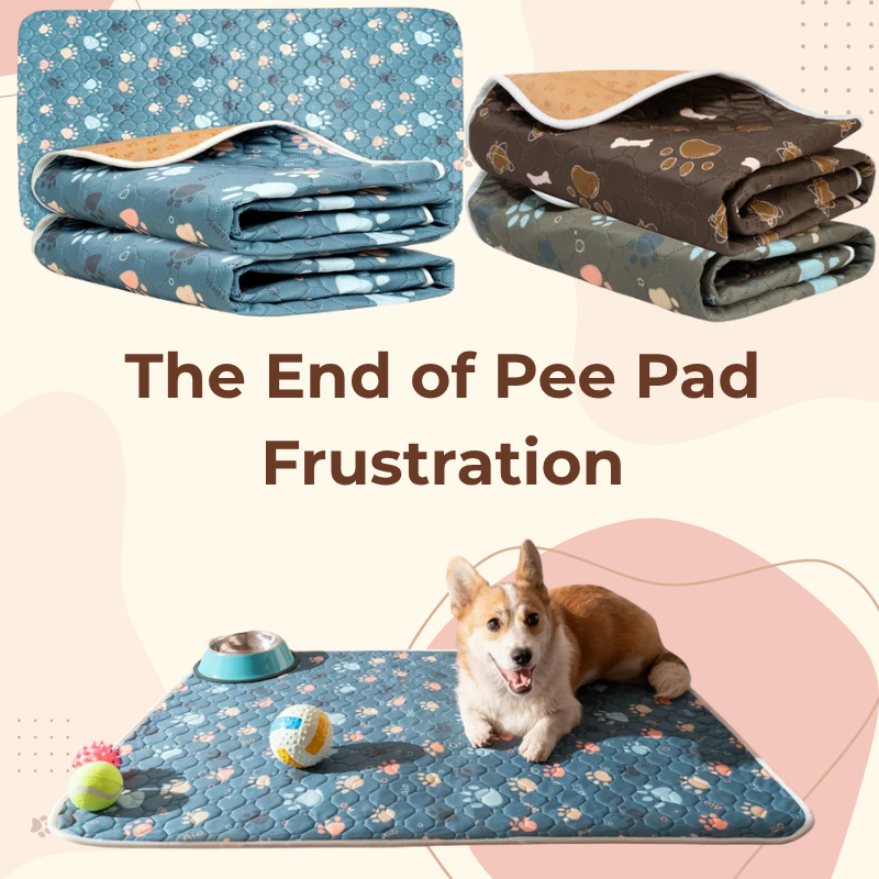 PurePaw™ Absorb Mat