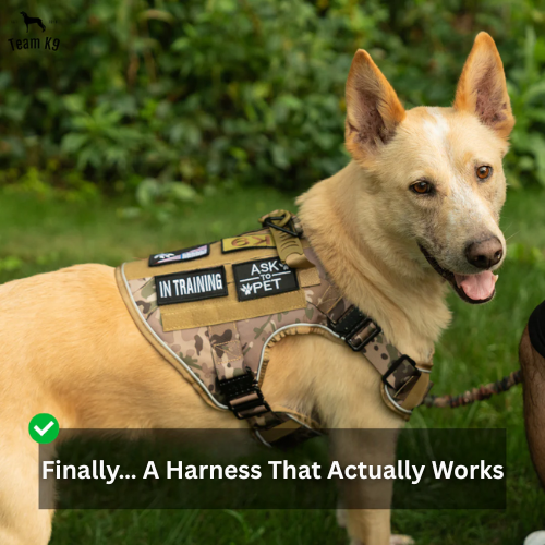 Reflective Tactical Dog Harness Vest Pro