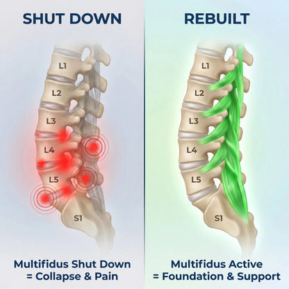 NeuroBack™ Pro – Advanced Back Relief System