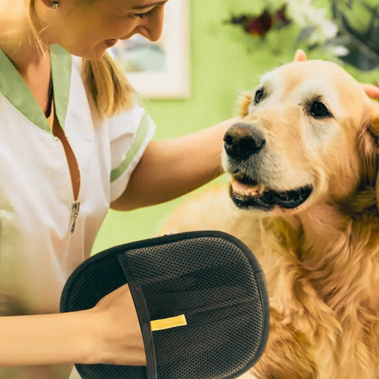 Magic Pet Hair Glove