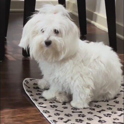 PurePaw™ Absorb Mat